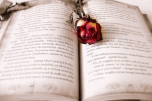 book with a rose